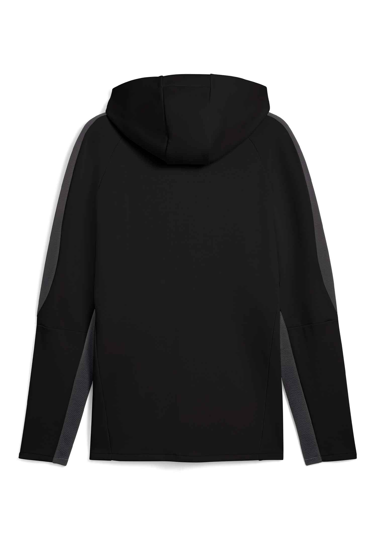 Puma - Kapuzenjacke Staff schwarz 2025-26
