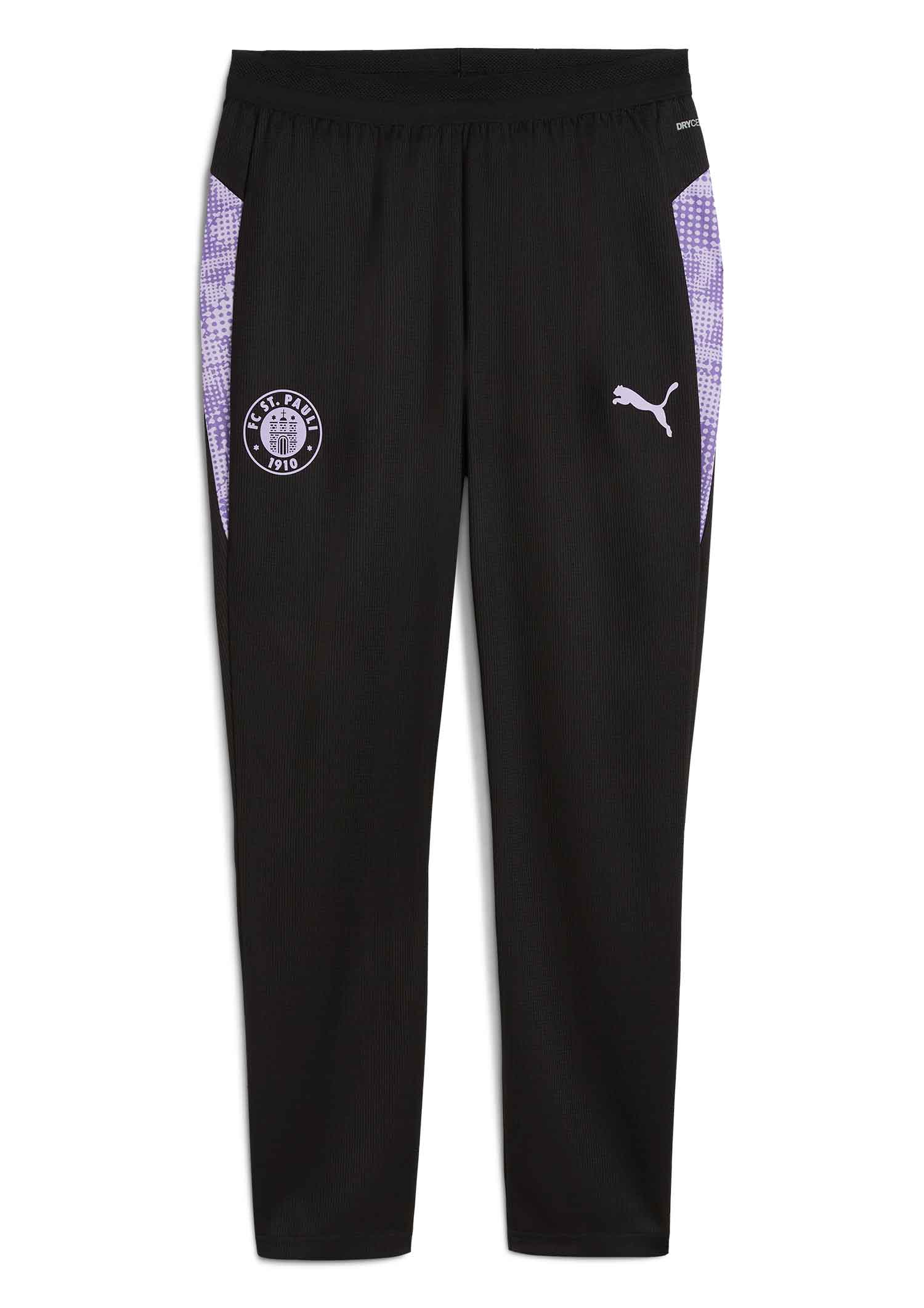 Puma - Trainingshose Team lang 2025-26